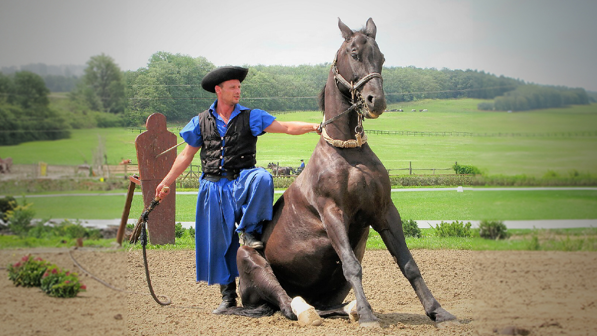 Hesteshow i Pusztan Tanyacsárda